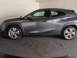 Grijs Nieuw 2025 Lexus UX 300e Luxury Line SUV | € 34.450
