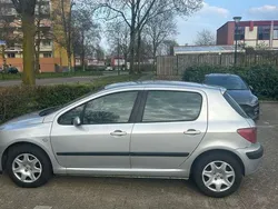 Grijs Gebruikt 2002 Peugeot 307 Hatchback | € 1.000 (Eerlijke prijs)