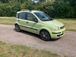 Groen Gebruikt 2004 Fiat Panda Dynamic Hatchback | € 1.950 (Iets duurder)