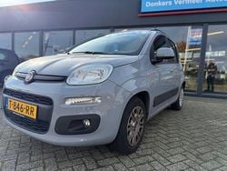 Grijs Gebruikt 2019 Fiat Panda Lounge Hatchback | € 9.995 (Eerlijke prijs)