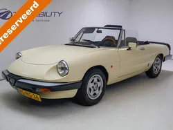 Beige Gebruikt 1983 Alfa Romeo Spider Cabriolet | € 10.950