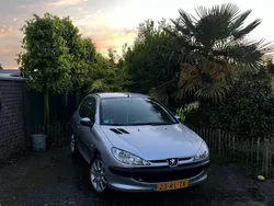 Zilver Gebruikt 2005 Peugeot 206 Hatchback | € 750 (Goede deal)