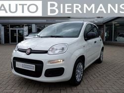 Wit Nieuw 2025 Fiat Grande Panda Hatchback | € 19.995 (Goede deal)