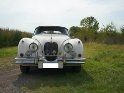 Jaguar XK