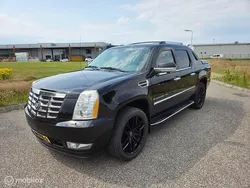 Overige Gebruikt 2008 Cadillac Escalade SUV | € 14.950
