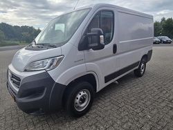 Wit Gebruikt 2024 Fiat Ducato Van | € 18.950