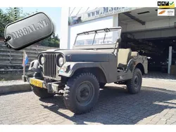 Groen Gebruikt 1956 Jeep Willys | € 16.999