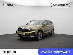 Goud (metallic) Gebruikt 2024 Skoda Kodiaq Selection SUV | € 47.849
