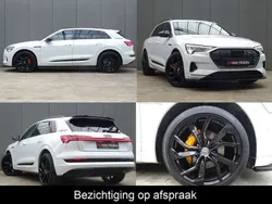 Wit Gebruikt 2019 Audi e-tron Advanced Plus SUV | € 37.500 (Duur)