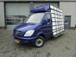 Blauw Gebruikt 2008 Mercedes Sprinter Van | € 6.900 (Eerlijke prijs)