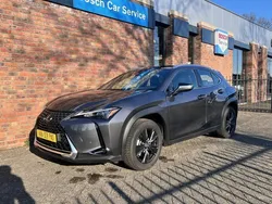 Grijs Gebruikt 2023 Lexus UX 250h Luxury Line SUV | € 32.955 (Super prijs)