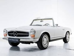 Witpapyrus white Gebruikt 1967 Mercedes 250 Cabriolet | € 82.500