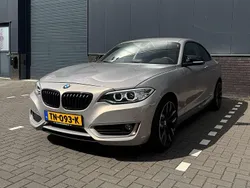 Grijs Gebruikt 2016 BMW 220 Coupé | € 19.999 (Super prijs)