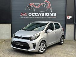 Grijs Gebruikt 2019 Kia Picanto Hatchback | € 5.499 (Eerlijke prijs)