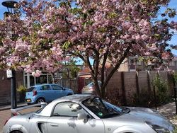 Grijs Gebruikt 2002 Toyota MR2 Cabriolet | € 7.750 (Goede deal)