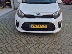 Wit Gebruikt 2019 Kia Picanto Hatchback | € 7.700 (Eerlijke prijs)