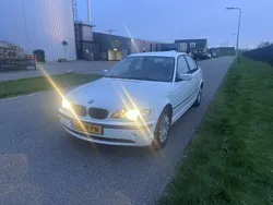 Wit Gebruikt 2003 BMW 316 Executive Sedan | € 4.000 (Iets duurder)