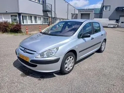 Zilver Gebruikt 2004 Peugeot 307 Hatchback | € 2.000 (Eerlijke prijs)