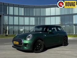 Groen Gebruikt 2019 Mini Cooper Chili Hatchback | € 18.880 (Eerlijke prijs)