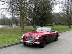 Rood Gebruikt 1959 Austin Healey 100 Cabriolet | € 49.745