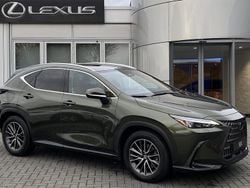 Overig Gebruikt 2024 Lexus NX450h+ Luxury Line SUV | € 53.900 (Goede deal)