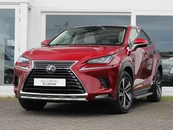 Rood Gebruikt 2020 Lexus NX300h President Line SUV | € 43.940 (Eerlijke prijs)
