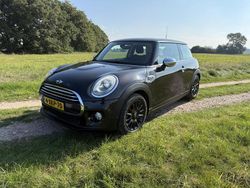 Bruin Gebruikt 2014 Mini Cooper Business Hatchback | € 7.350 (Super prijs)