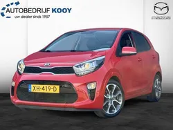 Rood Gebruikt 2019 Kia Picanto Hatchback | € 11.450 (Eerlijke prijs)