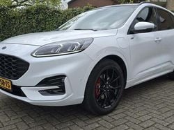 Wit Gebruikt 2020 Ford Kuga ST-Line X SUV | € 24.500 (Eerlijke prijs)
