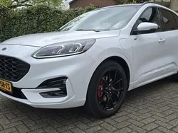 Wit Gebruikt 2020 Ford Kuga ST-Line X SUV | € 24.500 (Eerlijke prijs)