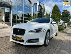Wit Gebruikt 2013 Jaguar XF Sportbrake Stationwagen | € 7.900