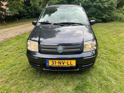 Zwart Gebruikt 2004 Fiat Panda Dynamic Hatchback | € 999 (Eerlijke prijs)