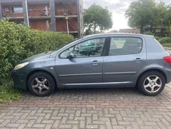 Grijs Gebruikt 2005 Peugeot 307 Hatchback | € 1.400 (Eerlijke prijs)