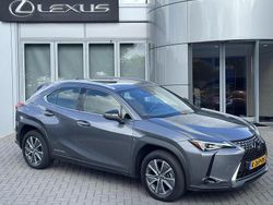 Grijs Gebruikt 2020 Lexus UX 300e Business Edition SUV | € 19.900