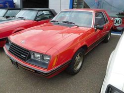 Rood Gebruikt 1979 Ford Mustang | € 7.500