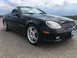 Zwart Gebruikt 2001 Mercedes SLK32 AMG AMG Cabriolet | € 14.950