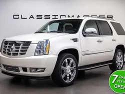 Wit Gebruikt 2011 Cadillac Escalade SUV | € 39.950