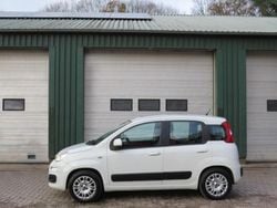Wit Gebruikt 2014 Fiat Panda Hatchback | € 4.450 (Eerlijke prijs)