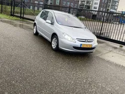 Grijs Gebruikt 2005 Peugeot 307 Premium Hatchback | € 2.095 (Eerlijke prijs)