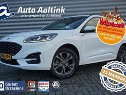 Wit Gebruikt 2023 Ford Kuga ST-Line X SUV | € 25.880 (Goede deal)