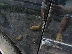 Zwart Gebruikt 2005 VW T5 Van | € 7.000 (Iets duurder)