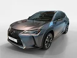 Mercury gray metallic (grijs metallic) Gebruikt 2022 Lexus UX 300e SUV | € 33.950