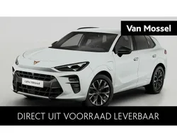 Wit Nieuw 2025 Cupra Terramar SUV | € 45.885 (Goede deal)