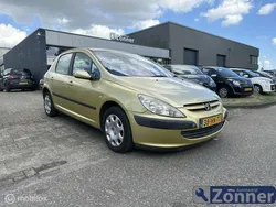 Geel Gebruikt 2001 Peugeot 307 Hatchback | € 2.100 (Eerlijke prijs)