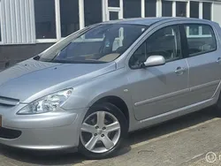 Grijs Gebruikt 2003 Peugeot 307 Hatchback | € 1.999 (Eerlijke prijs)
