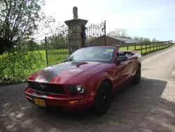 Rood Gebruikt 2006 Ford Mustang Cabriolet | € 12.950 (Super prijs)