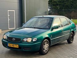Groen Gebruikt 2001 Toyota Corolla Terra Hatchback | € 1.599 (Goede deal)
