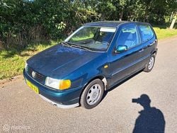 Groen Gebruikt 1996 VW Polo Hatchback | € 750 (Goede deal)
