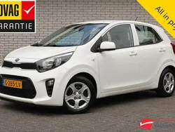 Wit Gebruikt 2019 Kia Picanto 4 Hatchback | € 8.750 (Goede deal)