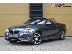 Grijs, metallic lak Gebruikt 2015 BMW 220 Sport Line Cabriolet | € 19.950 (Eerlijke prijs)